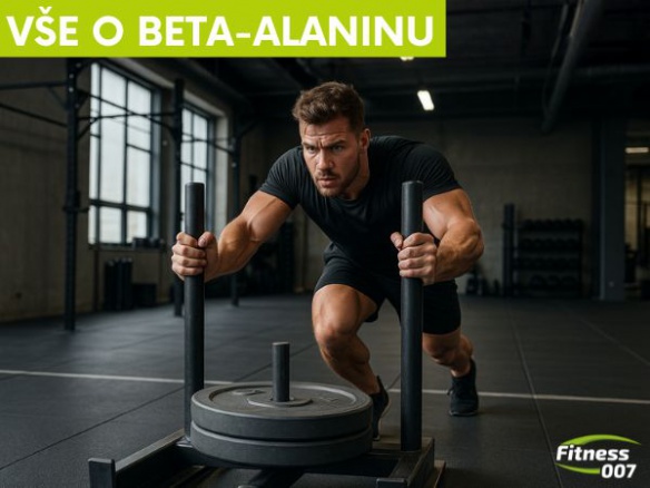 Beta-alanin a sportovní výkon